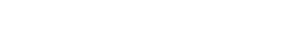 Shield AI Logo